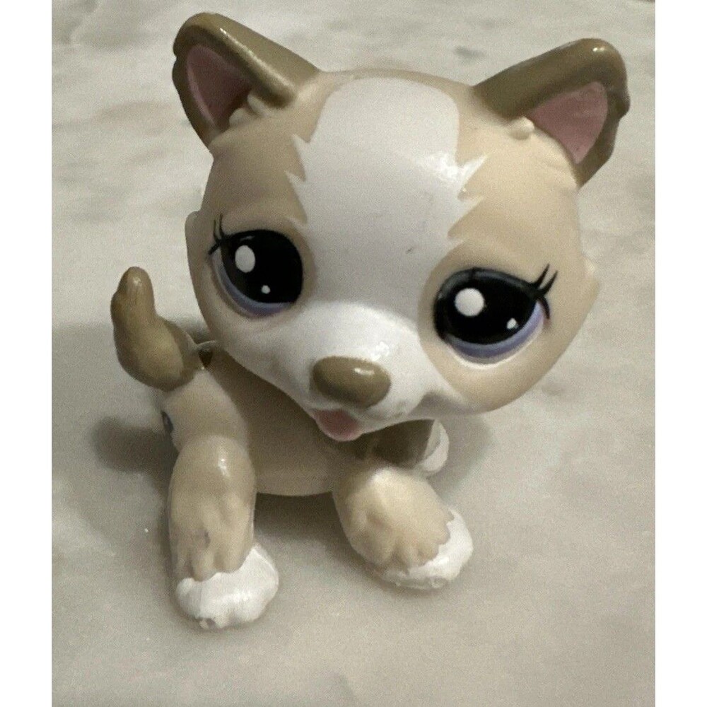 2008 G2 Littlest Pet Shop Authentic # 1817 Cream White Husky Purple Blue Eyes